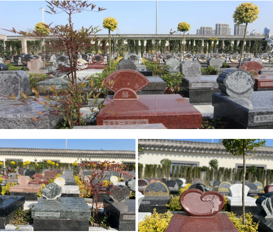 南宫NG28相信品牌的实力网址(中国)官网