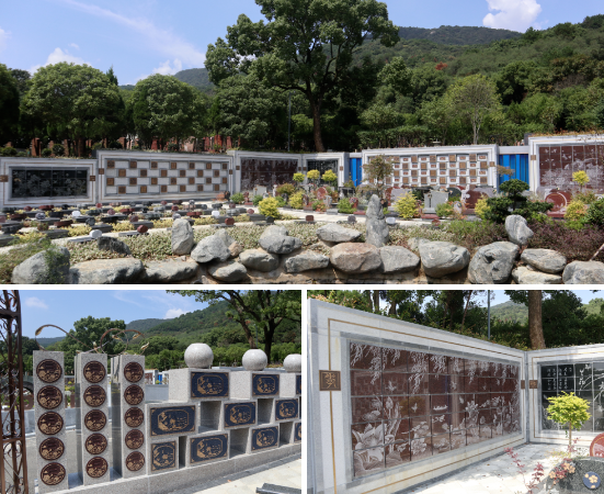 南宫NG28相信品牌的实力网址(中国)官网