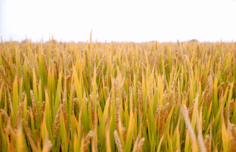 南宫NG28相信品牌的实力网址(中国)官网