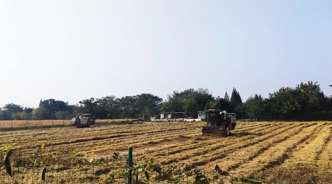 南宫NG28相信品牌的实力网址(中国)官网