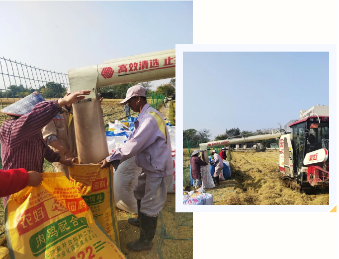 南宫NG28相信品牌的实力网址(中国)官网