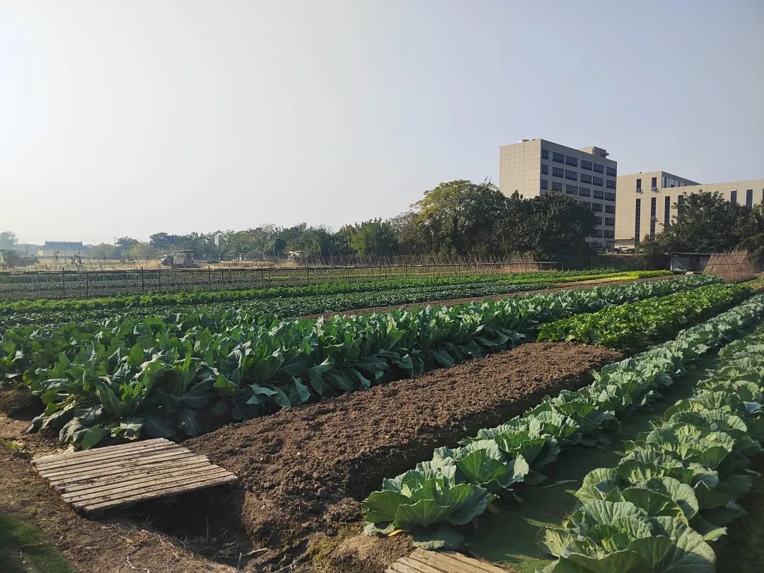 南宫NG28相信品牌的实力网址(中国)官网