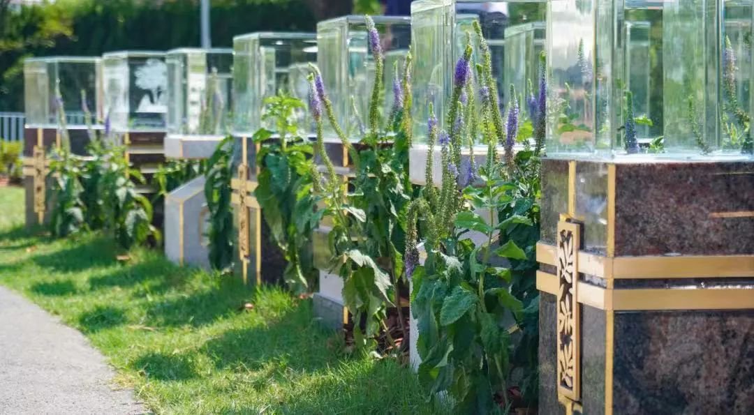 南宫NG28相信品牌的实力网址(中国)官网