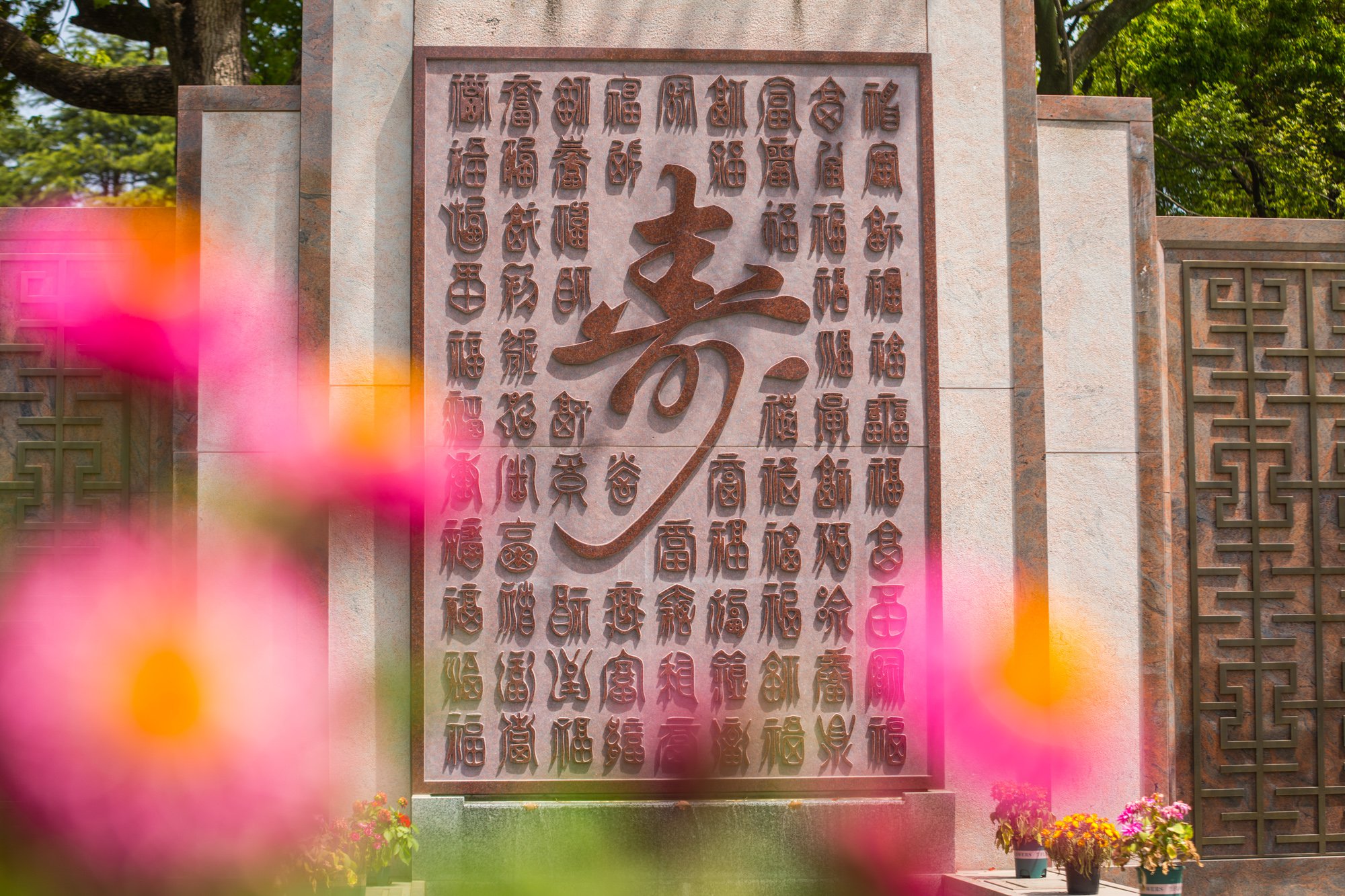 南宫NG28相信品牌的实力网址(中国)官网