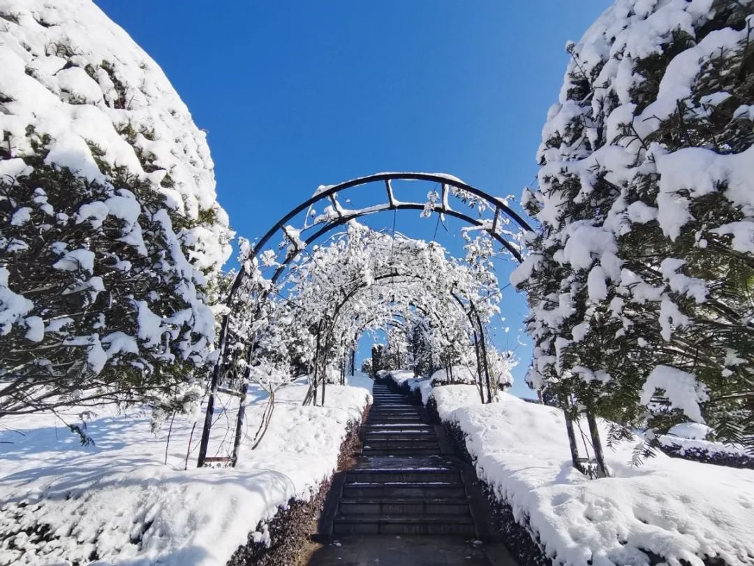 南宫NG28相信品牌的实力网址(中国)官网