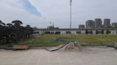 老墓园微刷新，，，，，，，助力都会人文眷注