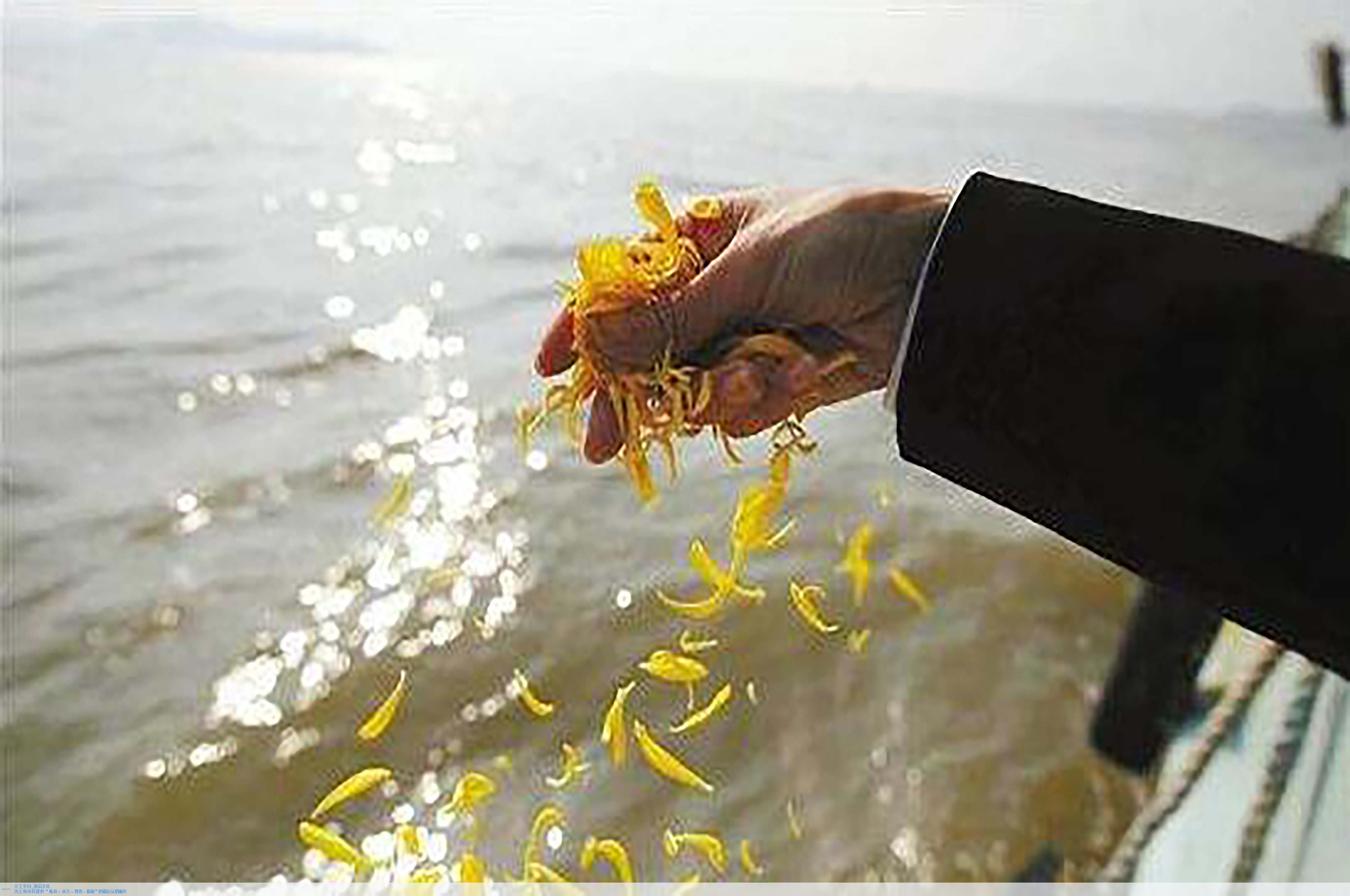 南宫NG28相信品牌的实力网址(中国)官网