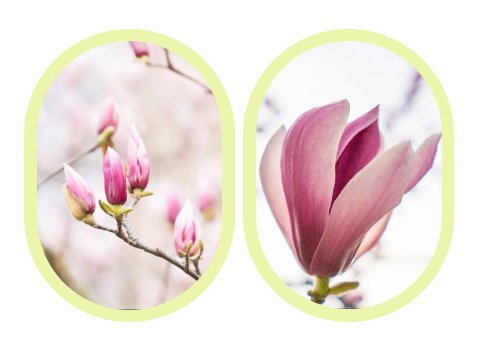 南宫NG28相信品牌的实力网址(中国)官网