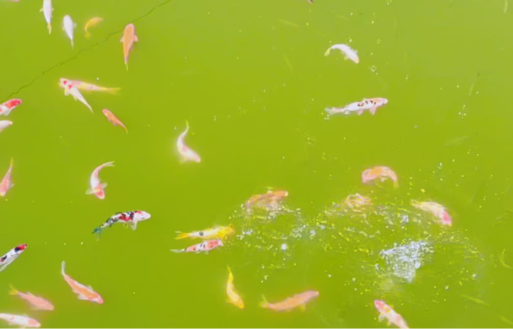 南宫NG28相信品牌的实力网址(中国)官网