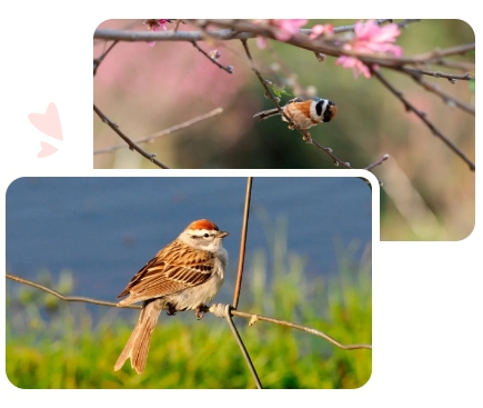 南宫NG28相信品牌的实力网址(中国)官网