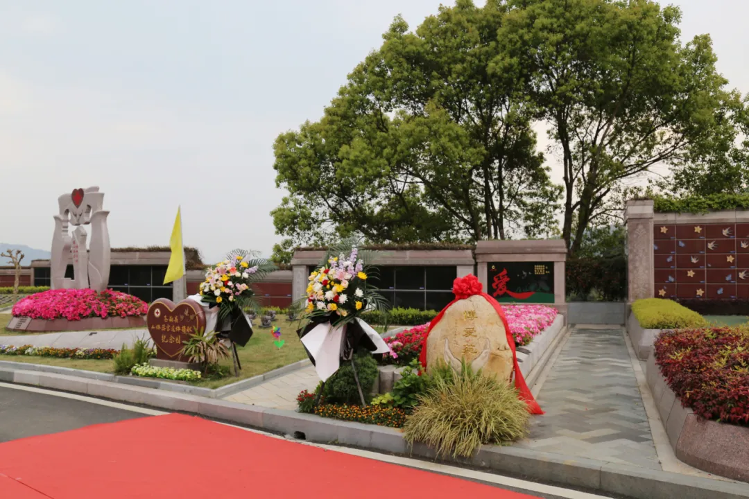 南宫NG28相信品牌的实力网址(中国)官网