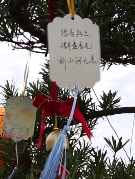 南宫NG28相信品牌的实力网址(中国)官网