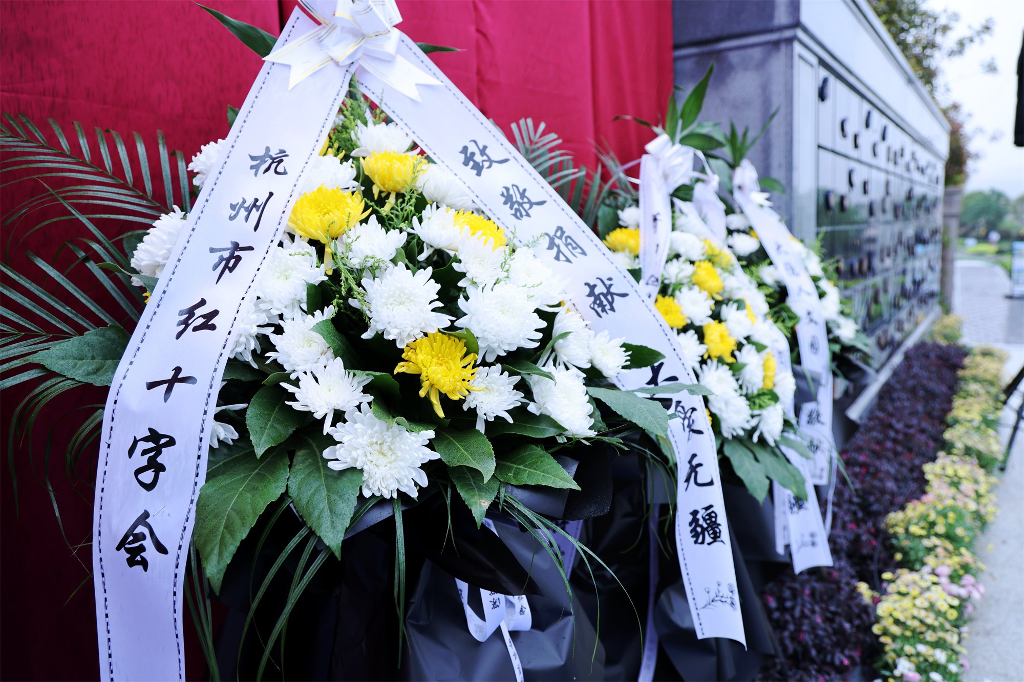 南宫NG28相信品牌的实力网址(中国)官网