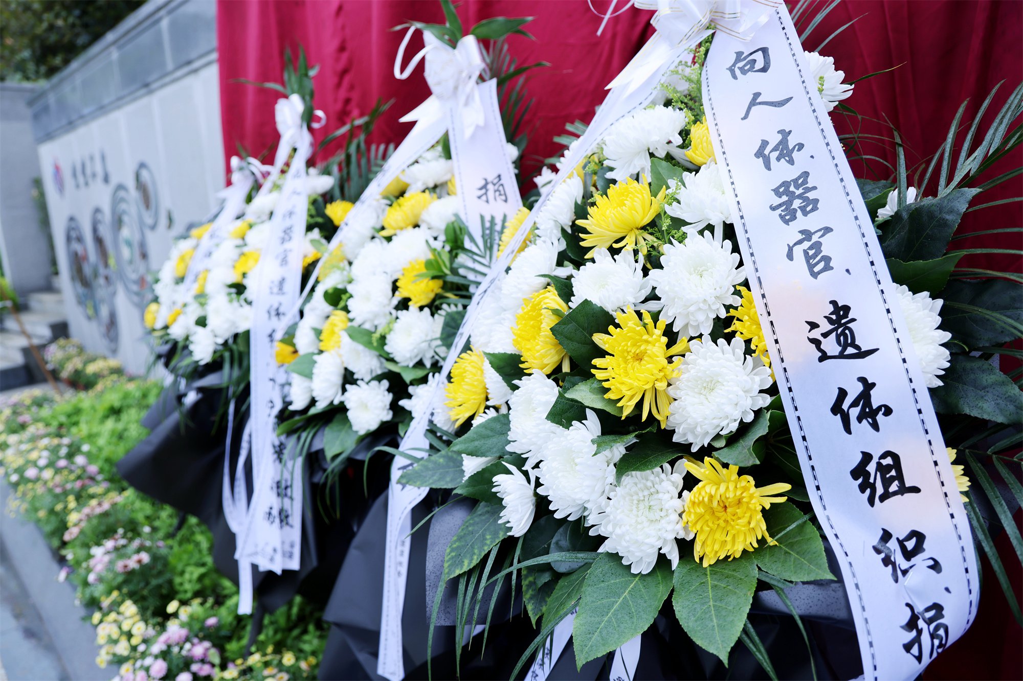 南宫NG28相信品牌的实力网址(中国)官网