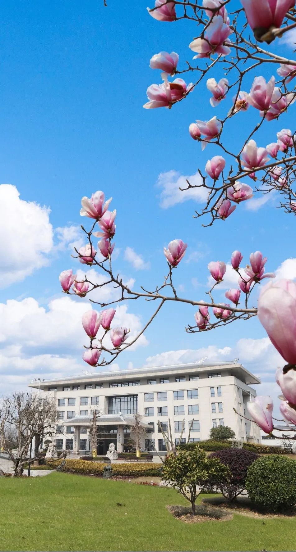 南宫NG28相信品牌的实力网址(中国)官网