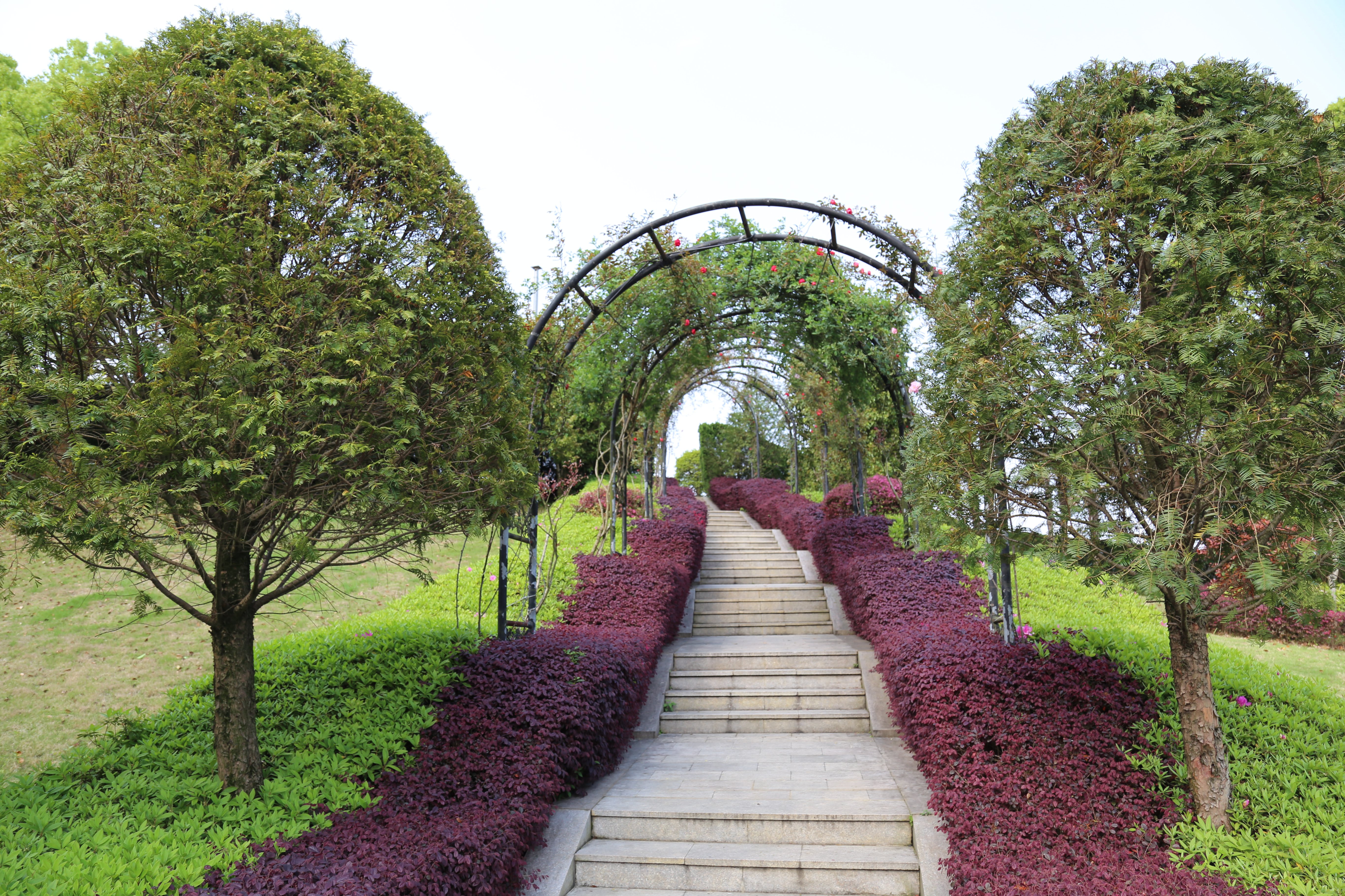 南宫NG28相信品牌的实力网址(中国)官网