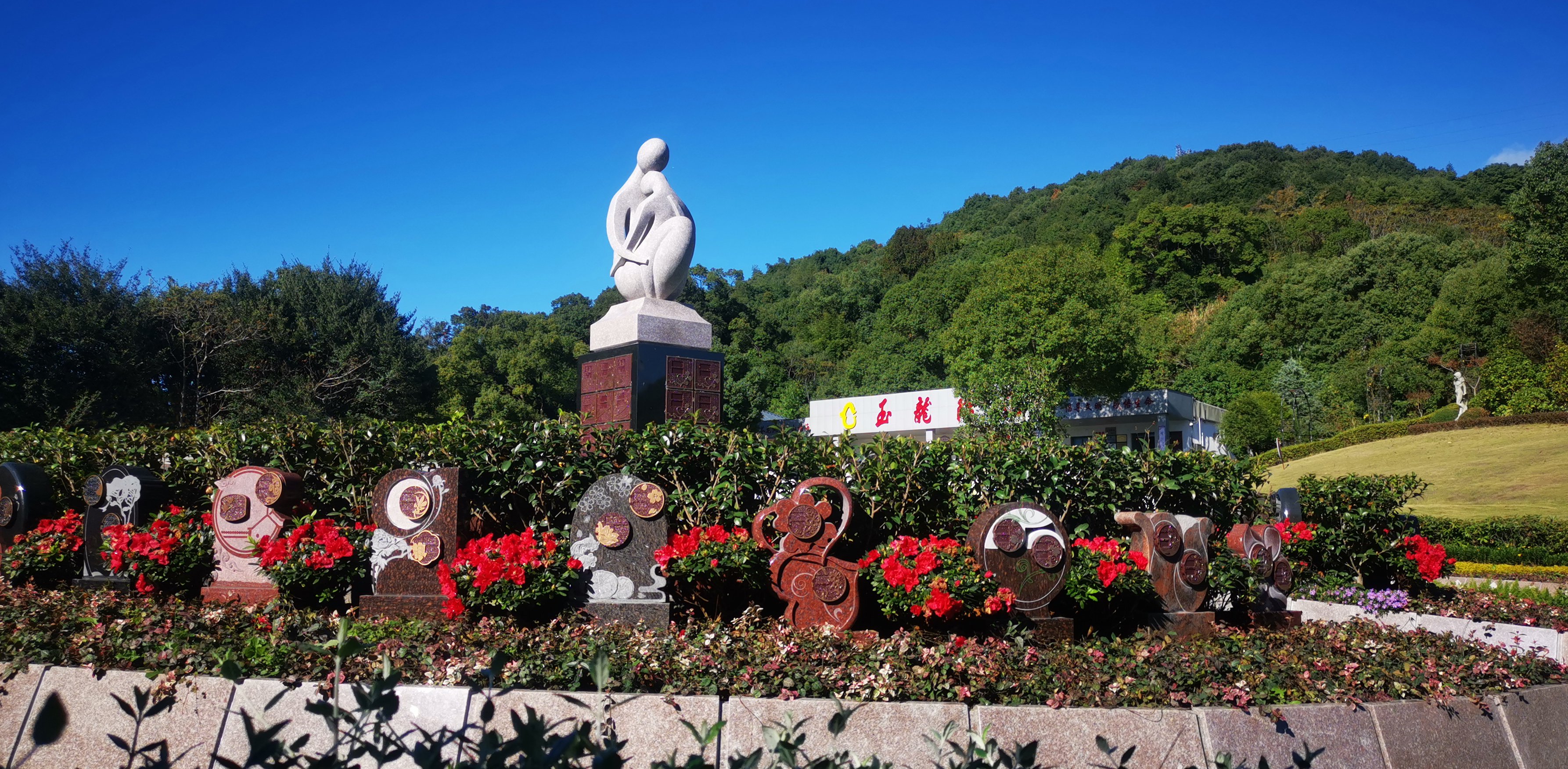 未来，，，，，，，生态葬或将成为主流