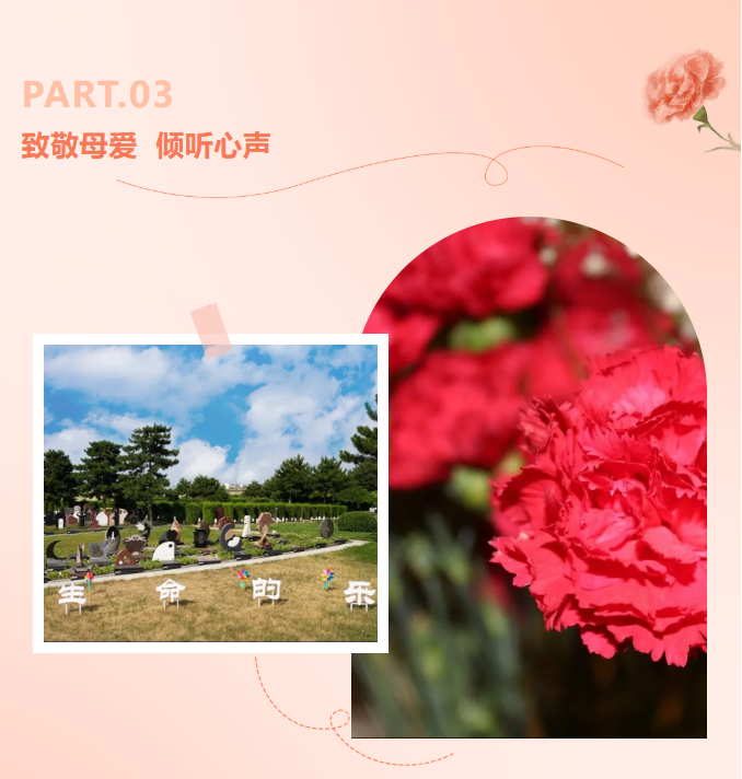 南宫NG28相信品牌的实力网址(中国)官网