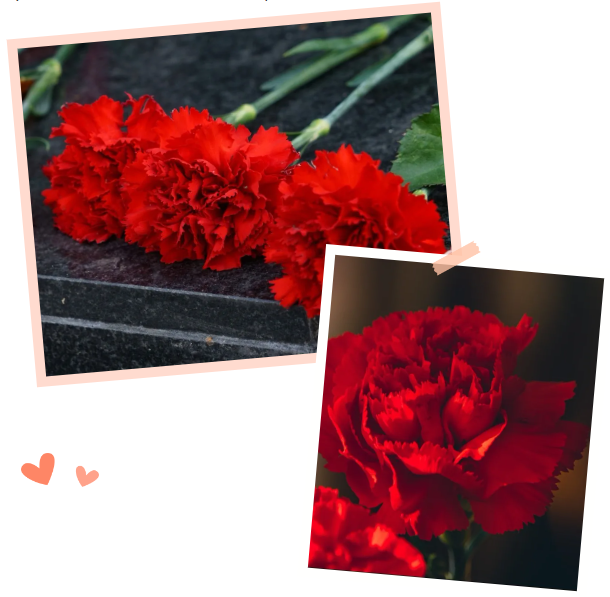 南宫NG28相信品牌的实力网址(中国)官网