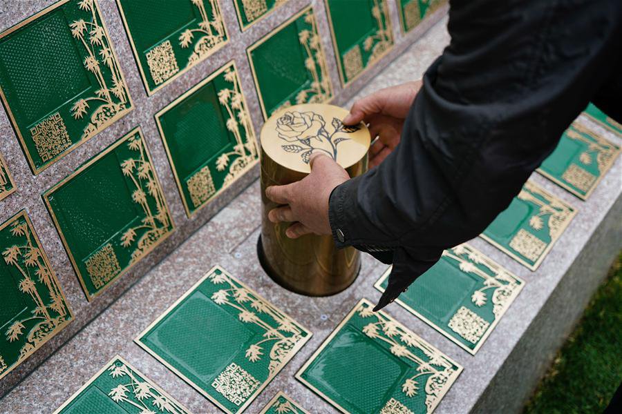 南宫NG28相信品牌的实力网址(中国)官网