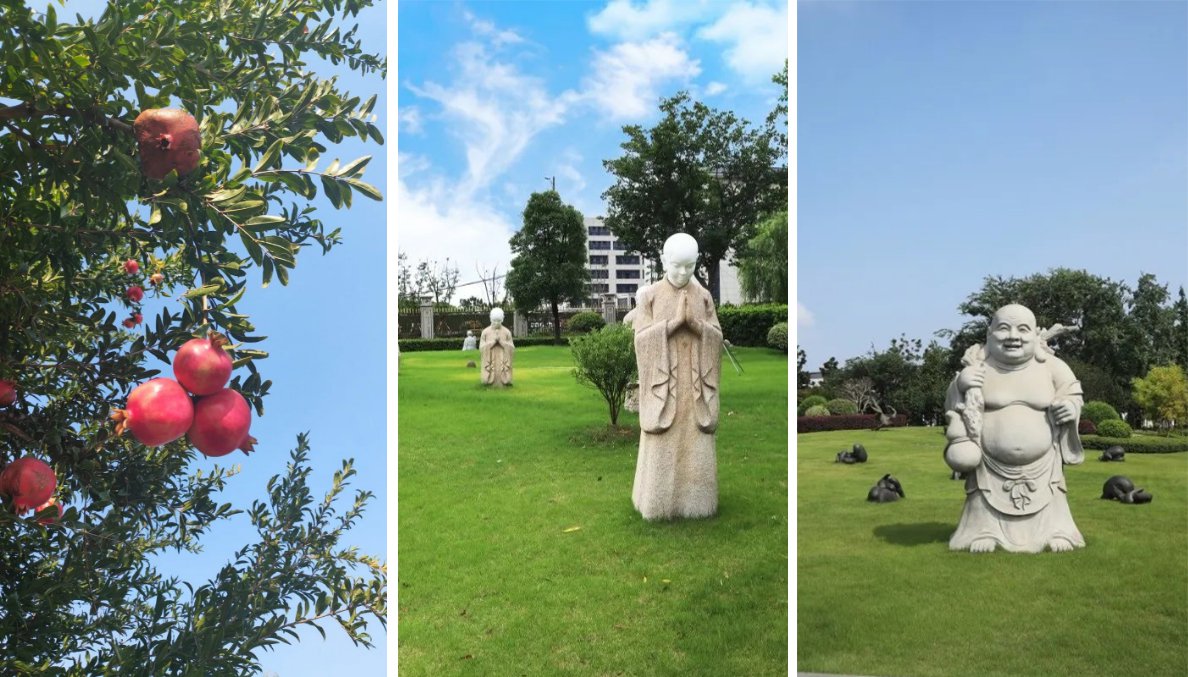 南宫NG28相信品牌的实力网址(中国)官网