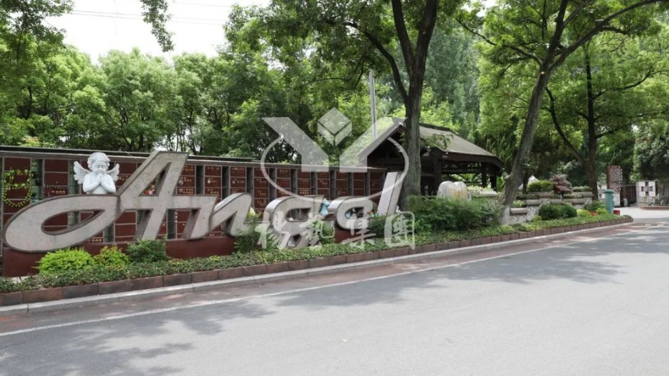 南宫NG28相信品牌的实力网址(中国)官网