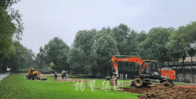 南宫NG28相信品牌的实力网址(中国)官网