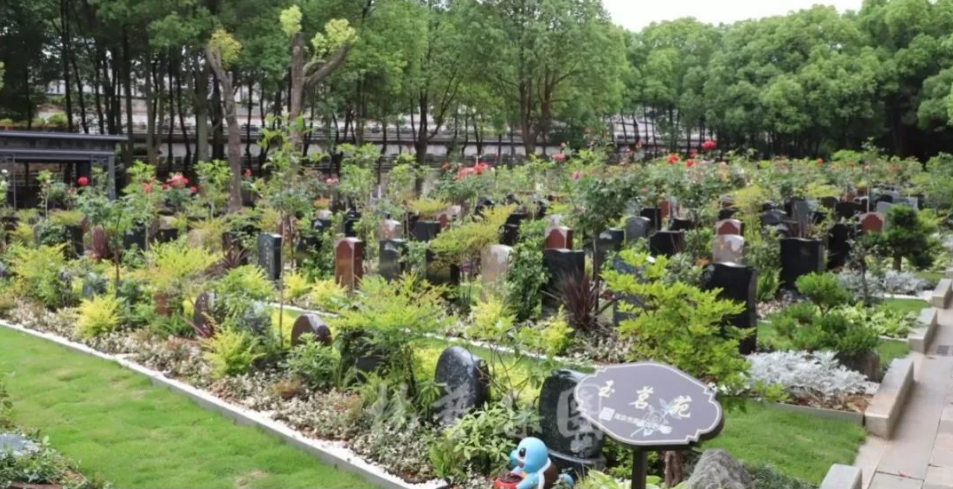 南宫NG28相信品牌的实力网址(中国)官网