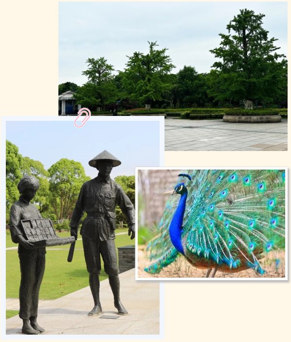 南宫NG28相信品牌的实力网址(中国)官网