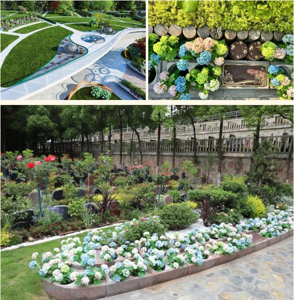 南宫NG28相信品牌的实力网址(中国)官网