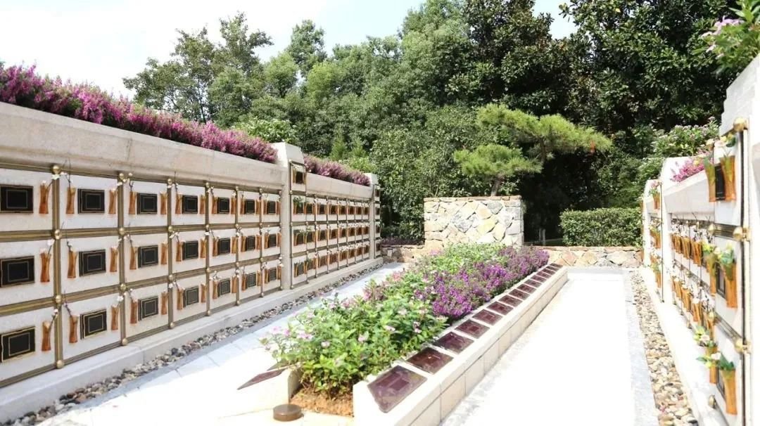 南宫NG28相信品牌的实力网址(中国)官网