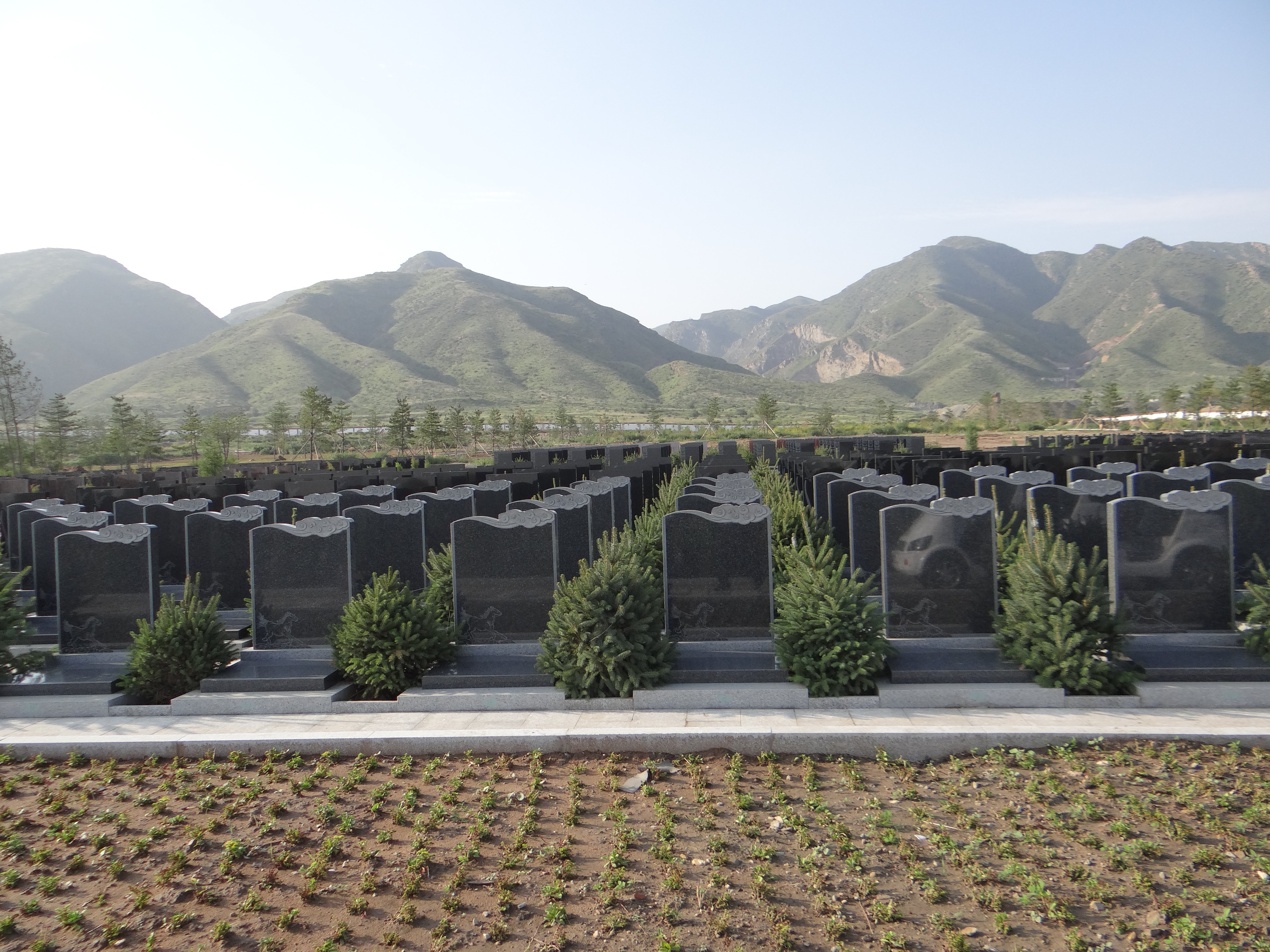 南宫NG28相信品牌的实力网址(中国)官网