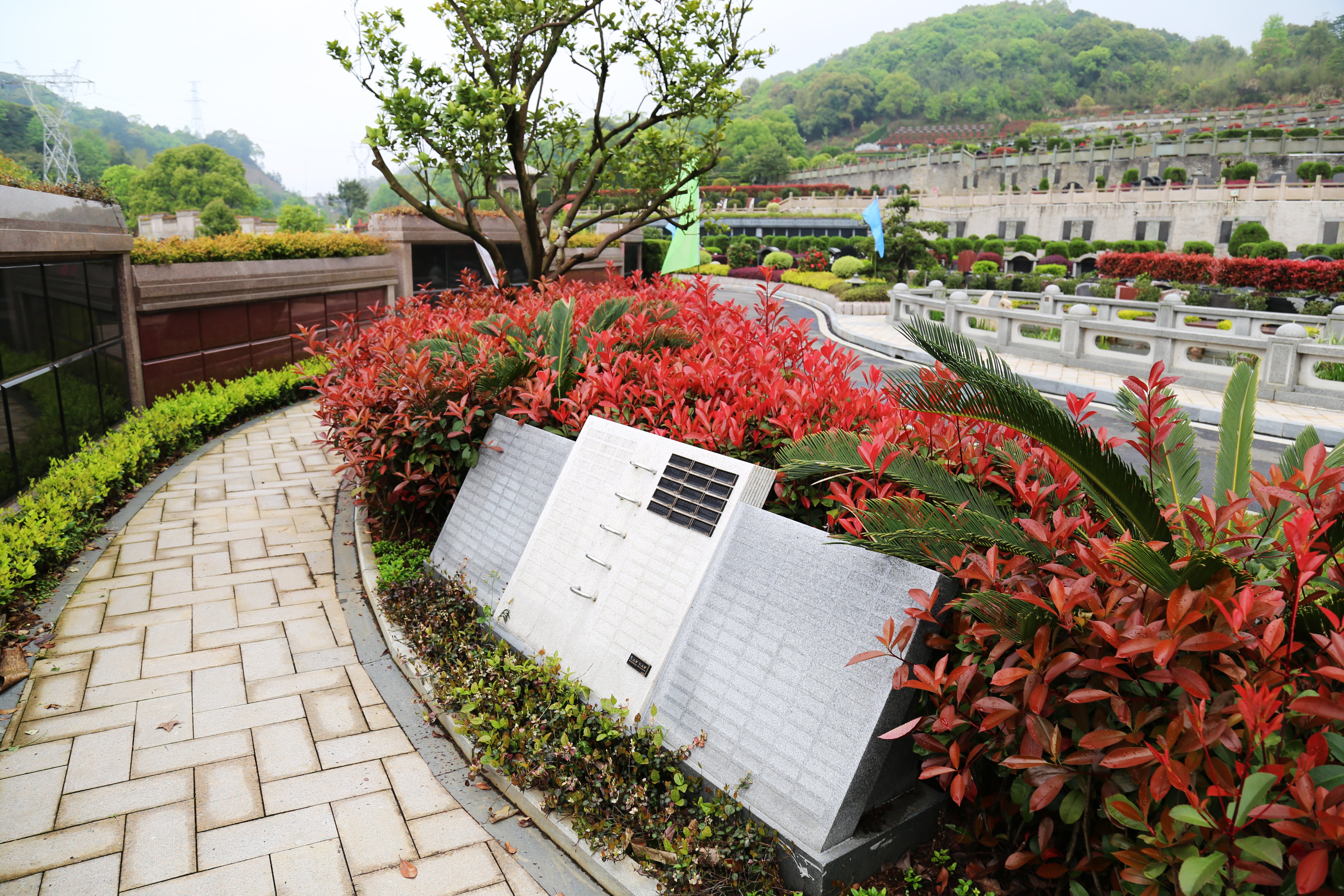 南宫NG28相信品牌的实力网址(中国)官网