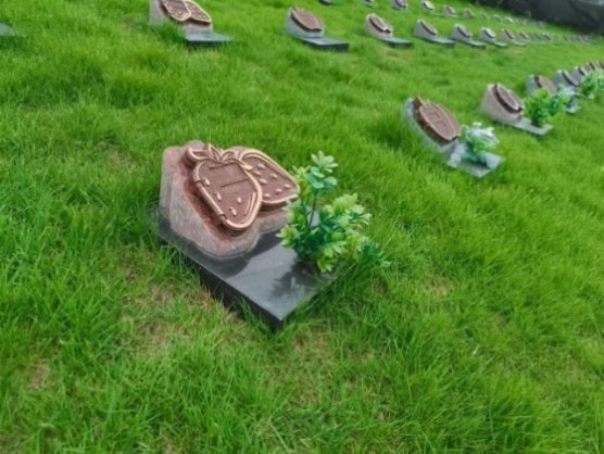 南宫NG28相信品牌的实力网址(中国)官网