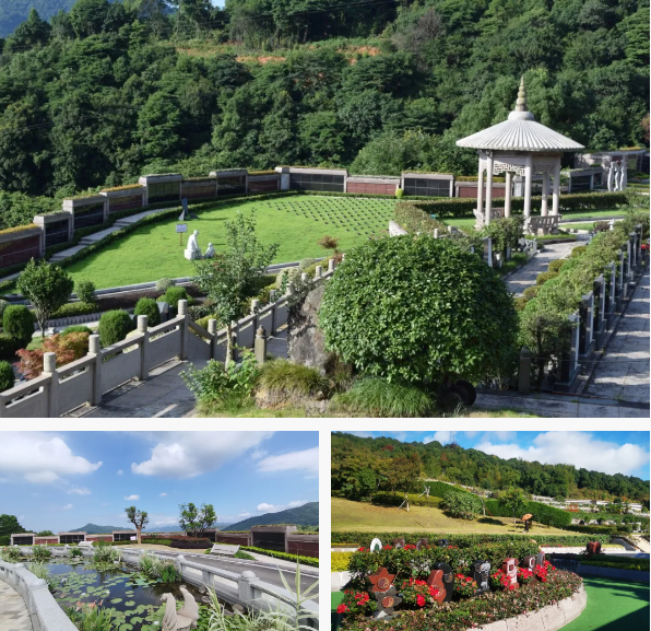 南宫NG28相信品牌的实力网址(中国)官网