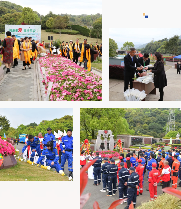 南宫NG28相信品牌的实力网址(中国)官网