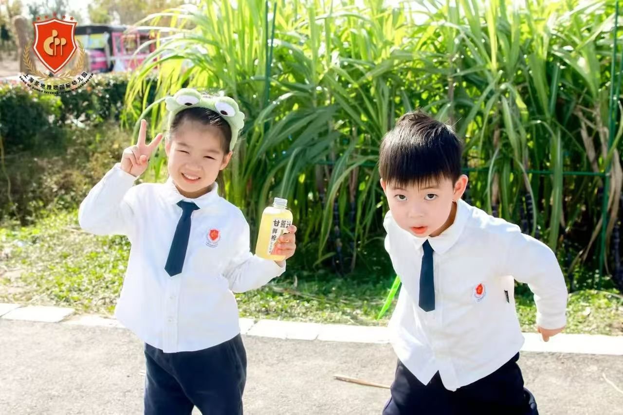 南宫NG28相信品牌的实力网址(中国)官网