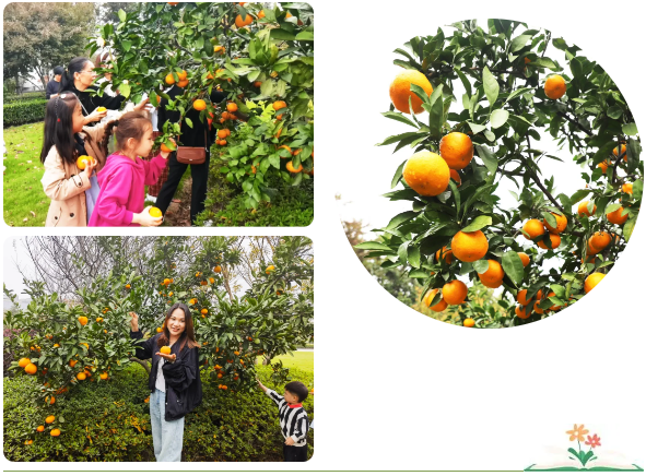 南宫NG28相信品牌的实力网址(中国)官网