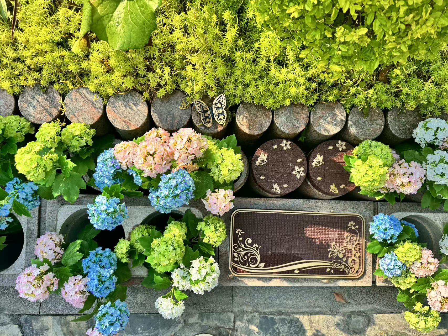 南宫NG28相信品牌的实力网址(中国)官网