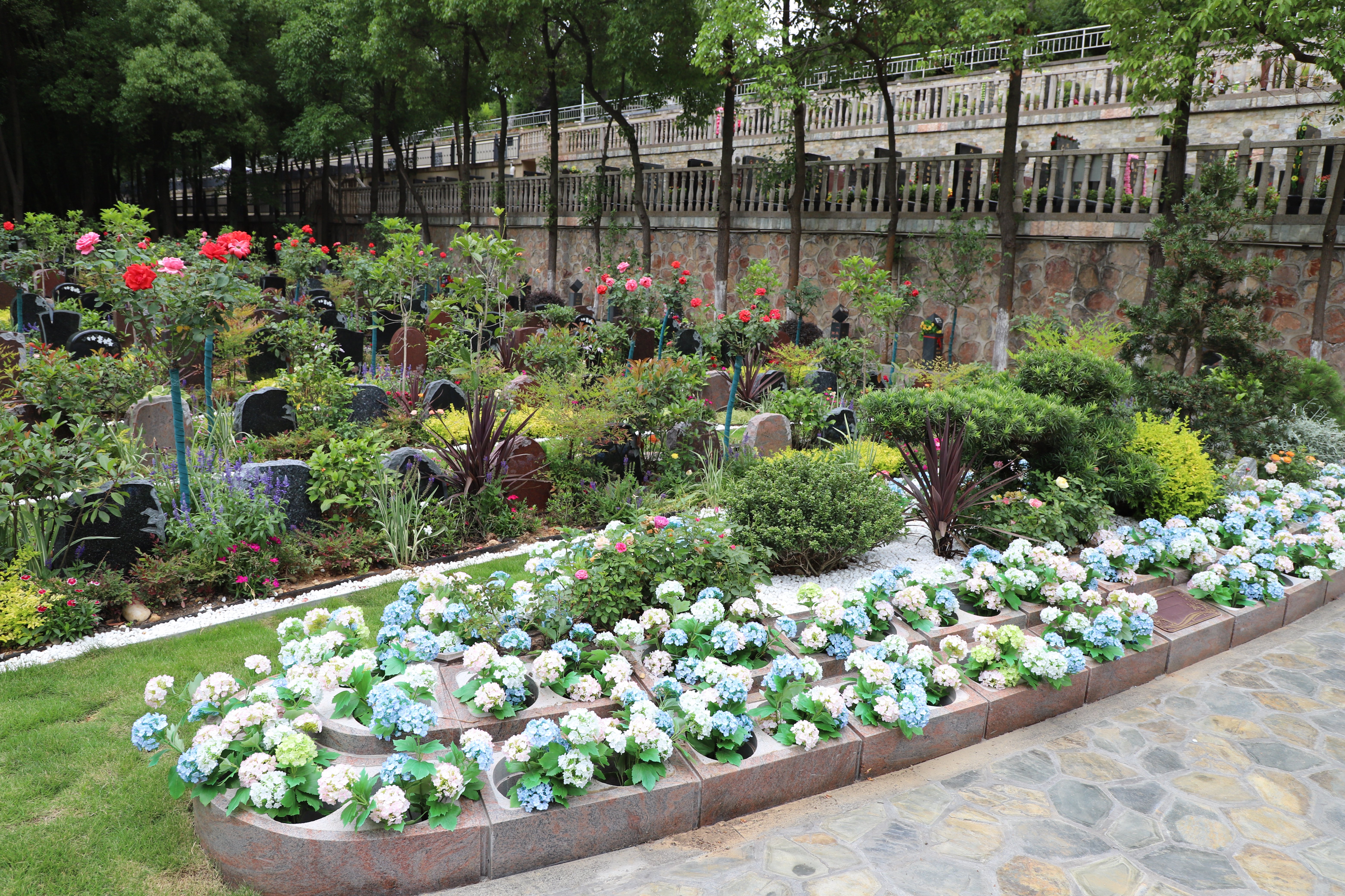 南宫NG28相信品牌的实力网址(中国)官网