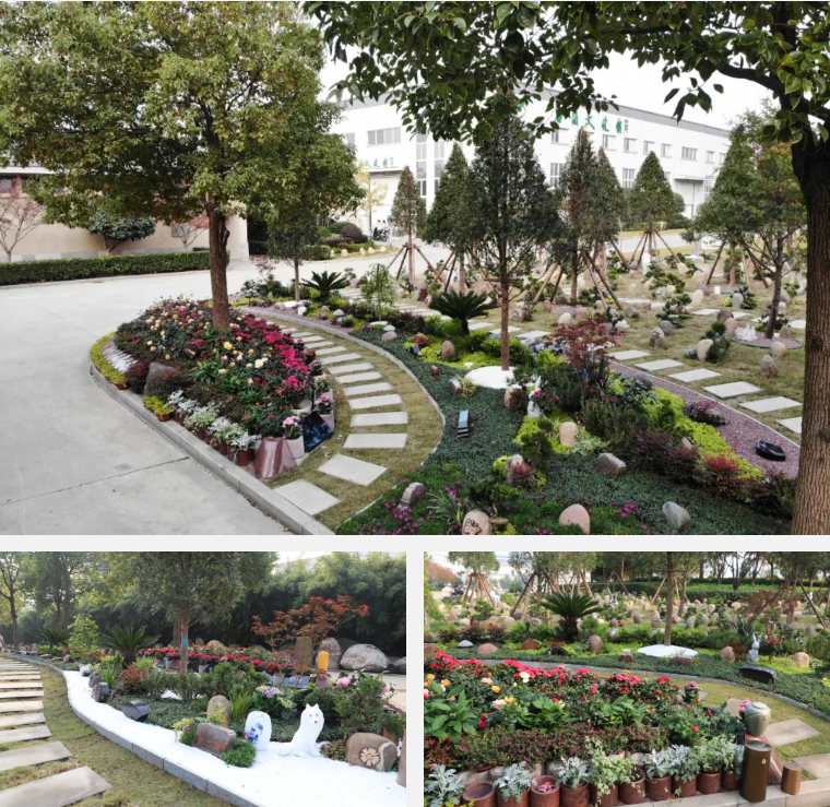 南宫NG28相信品牌的实力网址(中国)官网