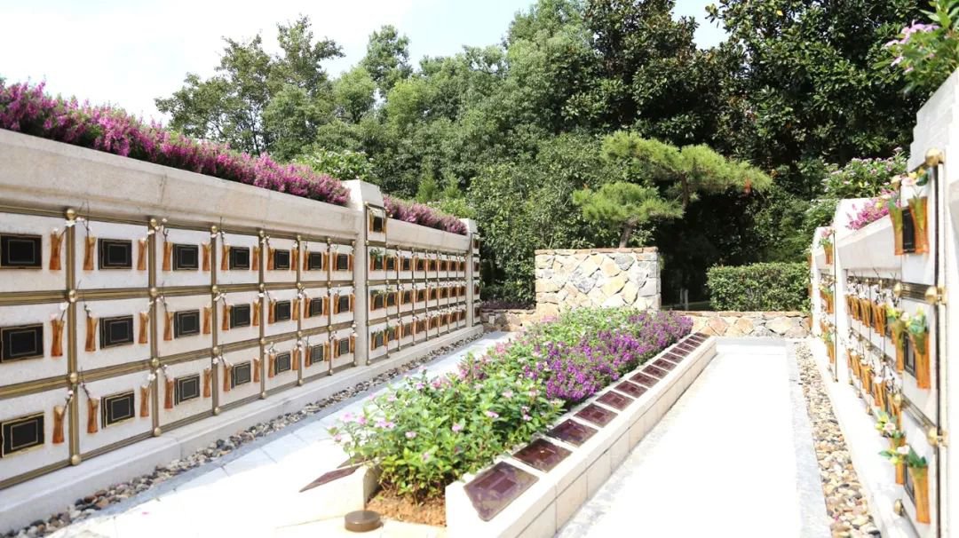 <b>在合肥大蜀山文化陵园，，，，，，，与生命温柔对话</b>