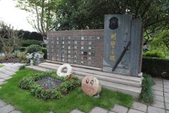 致敬“平安卫士”，，，，，，，铭刻“刑警之魂”