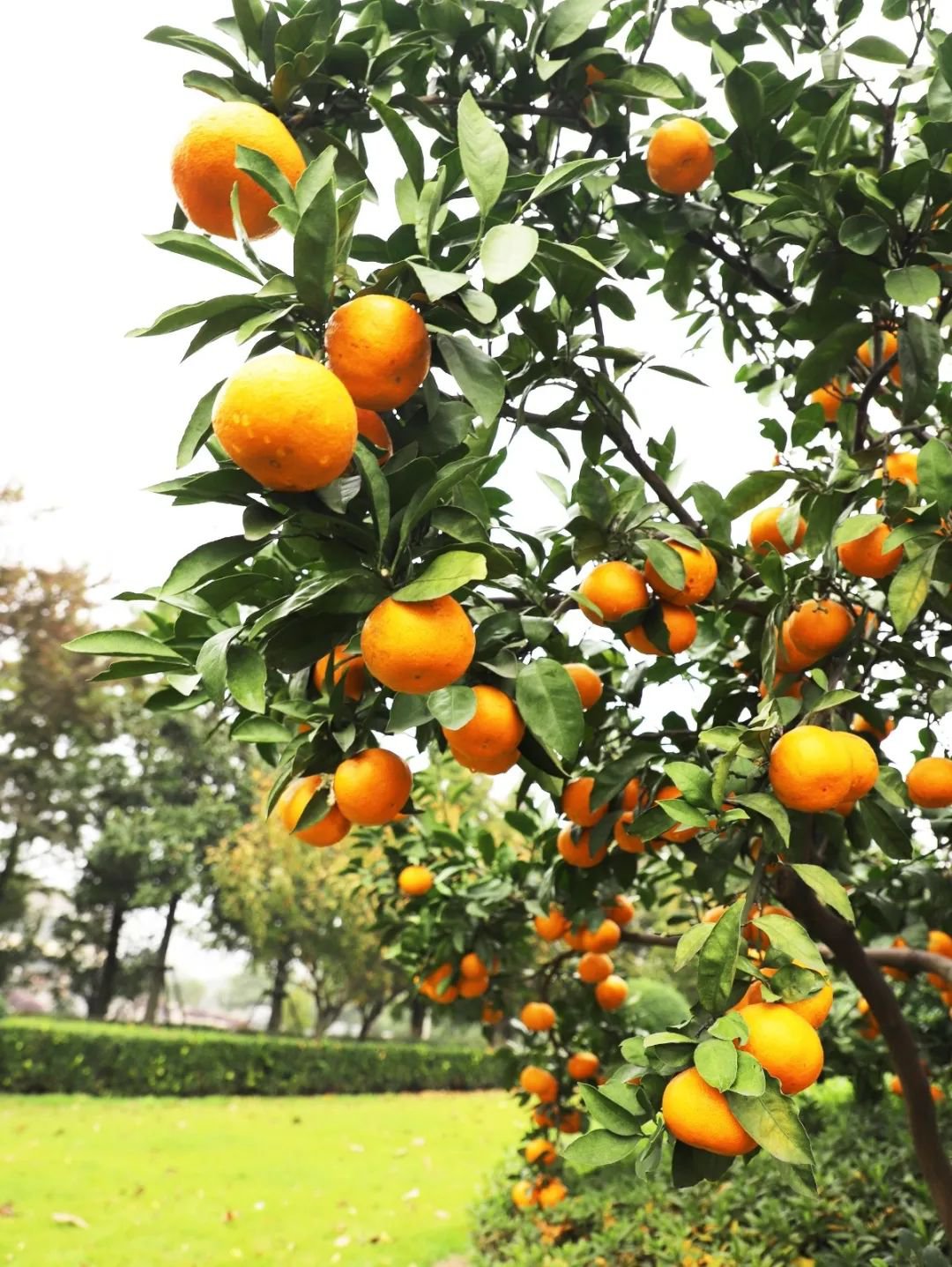 南宫NG28相信品牌的实力网址(中国)官网