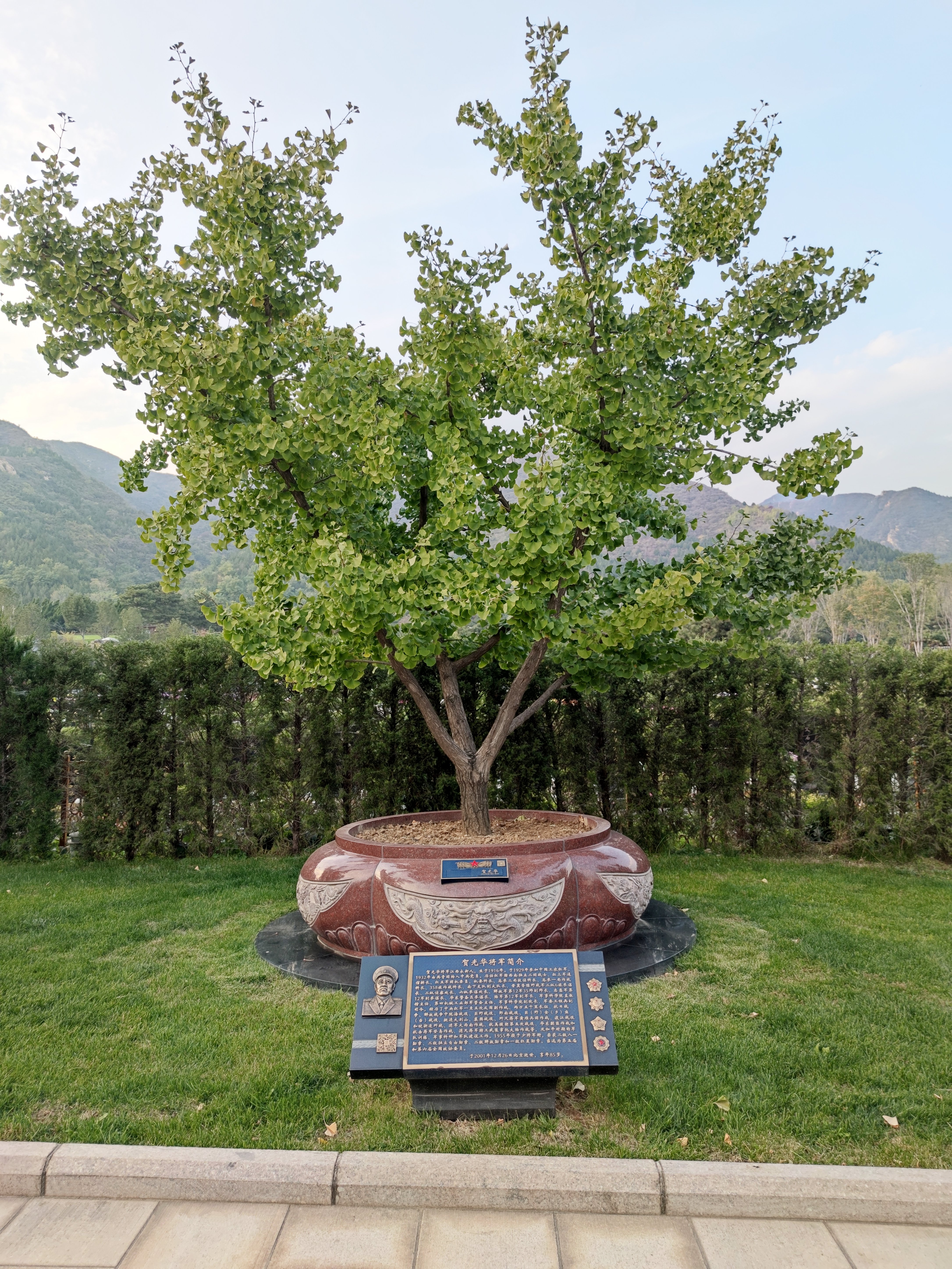 南宫NG28相信品牌的实力网址(中国)官网