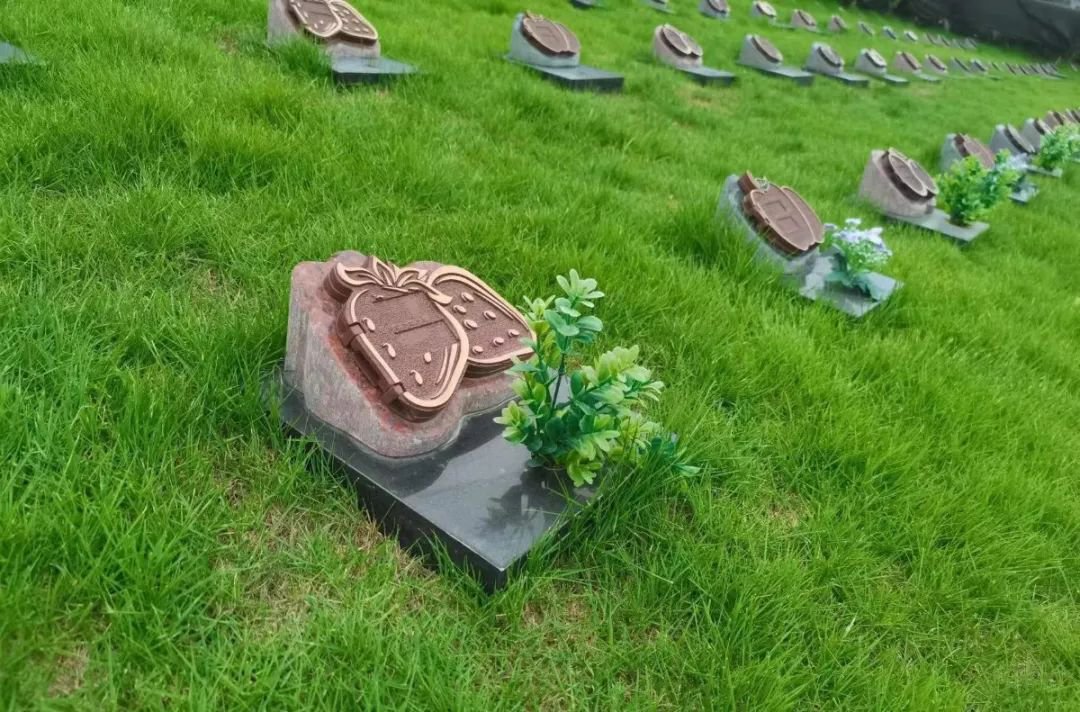 南宫NG28相信品牌的实力网址(中国)官网