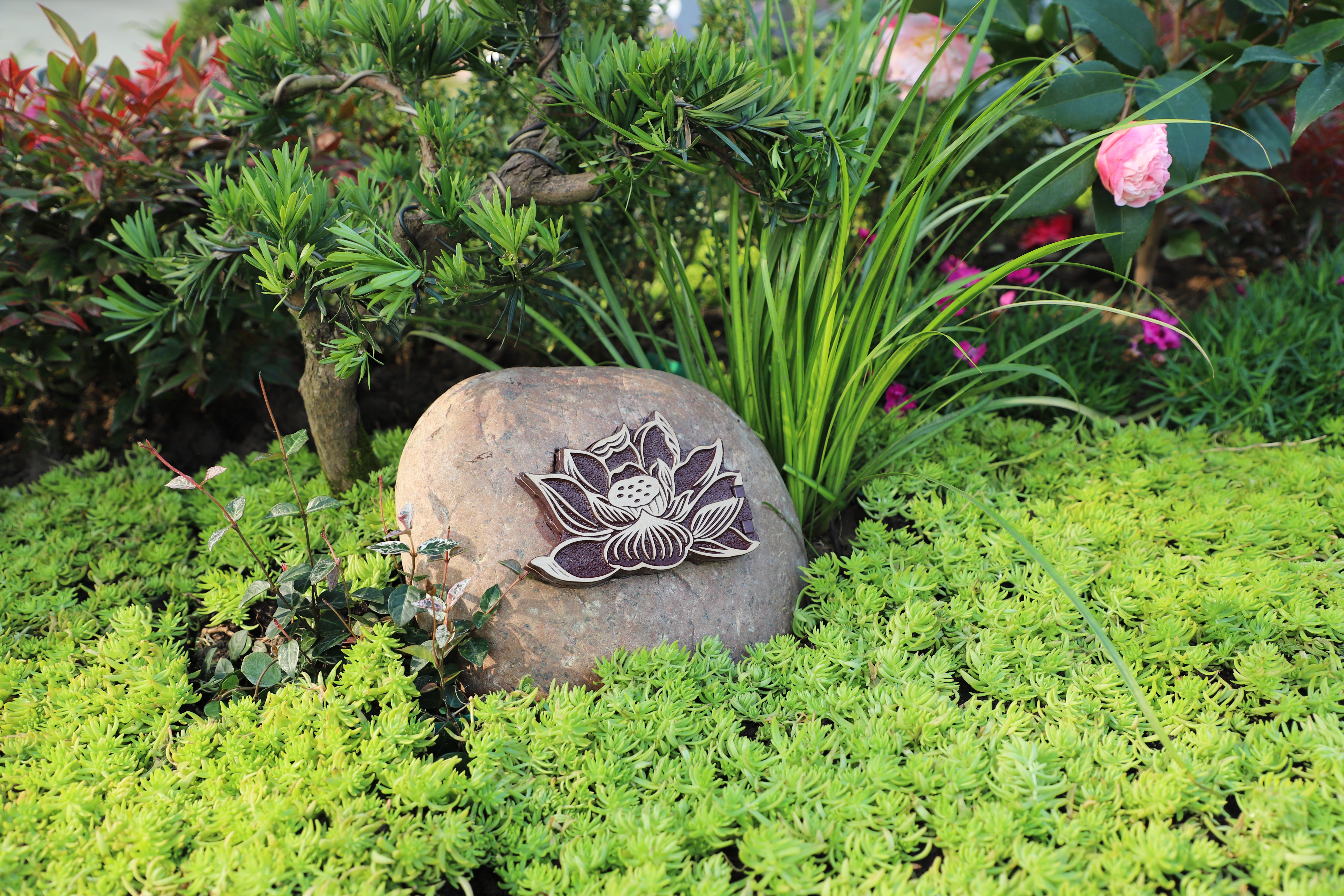 南宫NG28相信品牌的实力网址(中国)官网