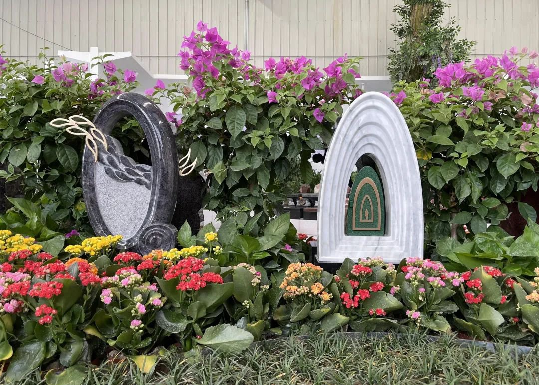 南宫NG28相信品牌的实力网址(中国)官网