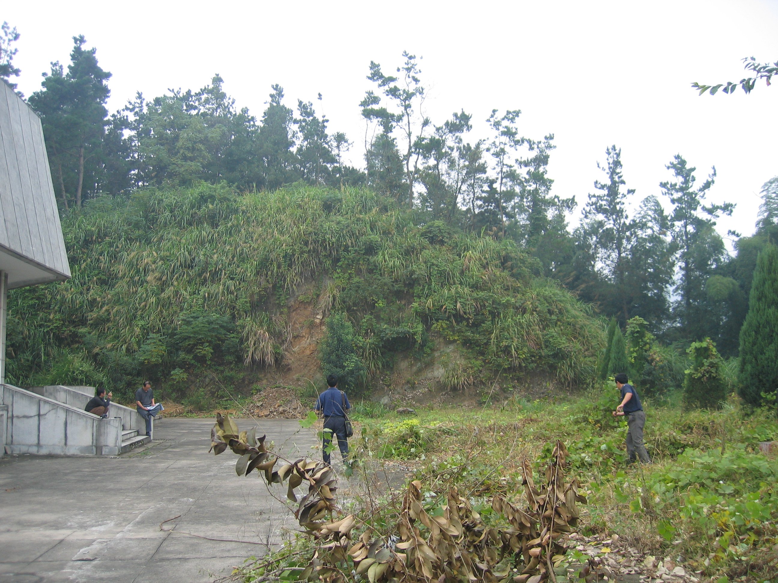 南宫NG28相信品牌的实力网址(中国)官网