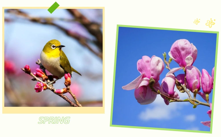 南宫NG28相信品牌的实力网址(中国)官网